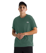 Women's The North Face Evolution Oversized T-Shirt - HCH-DGRN