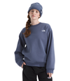 Women's The North Face Evolution Simple Dome Oversized Crew - BTR - TWILIGHT GALAXY