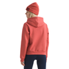 Women's The North Face Evolution Sketch Logo Hoodie - BOU - MARS DUST