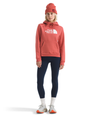 Women's The North Face Evolution Sketch Logo Hoodie - BOU - MARS DUST