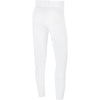 Men's Nike Vapor Select Baseball Pant