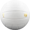 Baden Perfection Leather Volleyball - WHITE