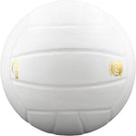 Baden Perfection Leather Volleyball - WHITE