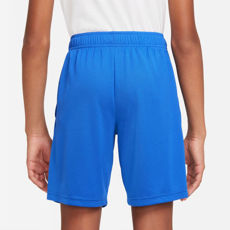 Boys' Nike Youth HBR Training Shorts - 480 BLUE