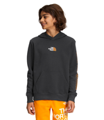 Boys' The North Face Youth Camp Fleece Hoodie - 0C5