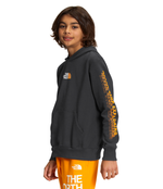 Boys' The North Face Youth Camp Fleece Hoodie - 0C5