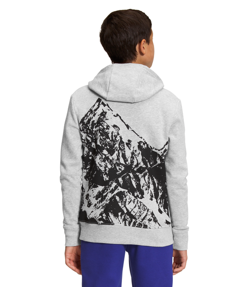 Boys' The North Face Youth Camp Fleece Hoodie - DYX