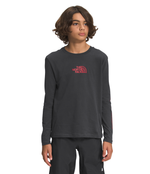 Boys' The North Face Youth Graphic Longsleeve - 0C5