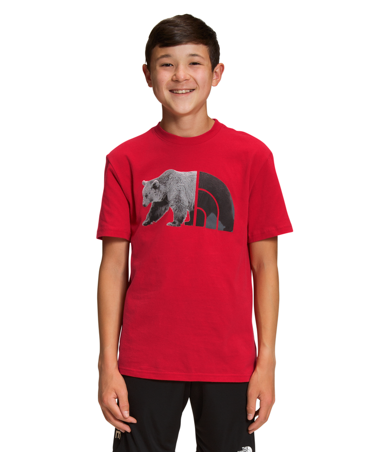 Boys' The North Face Youth Graphic Tee - 682