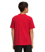Boys' The North Face Youth Graphic Tee - 682