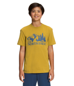 Boys' The North Face Youth Graphic Tee - 76S