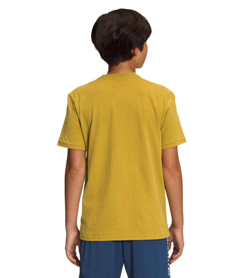 Boys' The North Face Youth Graphic Tee - 76S