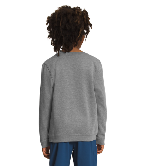 Boys' The North Face Youth Heritage Patch Crew - DYY GREY