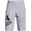 Boys' Under Armour Prototype 2.0 Logo Short - 011 - GREY